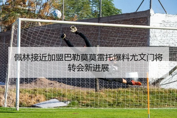 佩林接近加盟巴勒莫莫雷托爆料尤文门将转会新进展